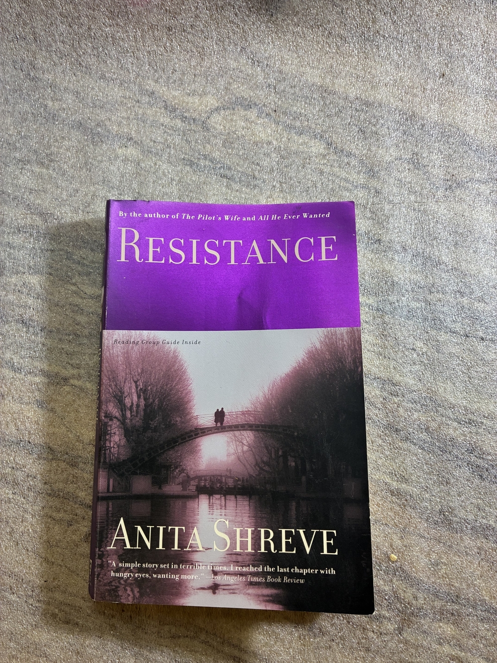 Resistance by Anita Shreve  Paperback Novel